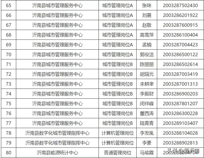 沂南县初中最新招聘公告概览