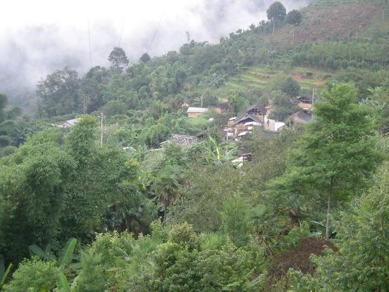 竹林村民委员会启动新项目，振兴乡村，共筑绿色未来